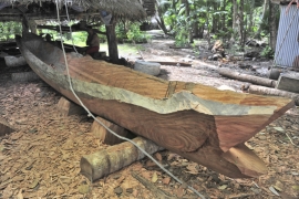 Bunnseksjonen i den nye kanoen er en kjemppestor uthulet mahogney stokk