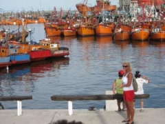 Fiskehavna i Mar Del Plata
