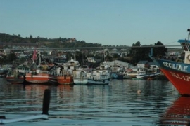 Fiskebåter i Puerto Quellon