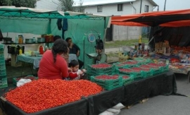 Valdivia tirsdagsmarked - Bær