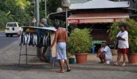 Fiskebutikk langs veien