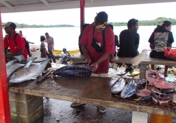 Gizo Fish market